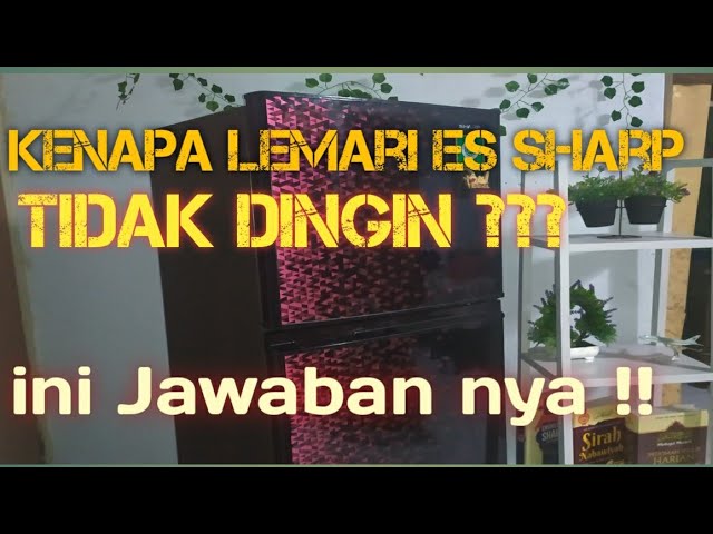 Kenapa Kulkas Sharp 2 Pintu Tidak Dingin Youtube