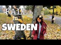 FALL IN SWEDEN | Naglalagasan na mga dahon at malamig na naman 🥶