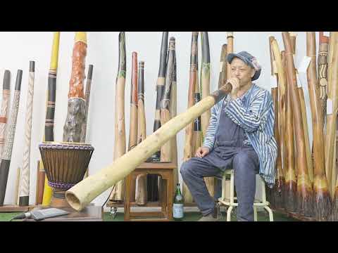 Jesse lethbridge Didgeridoo Key of C# Web code 8144