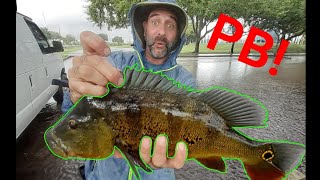 HE CAUGHT HIS PB! (EPIC PEACOCK BASS ACTION)
