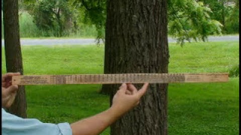 How to measure trees with a Biltmore stick