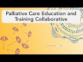 Palliative care education and training collaborative  what we do