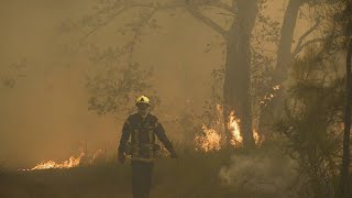 Incendies en Europe : déjà plus de 19 000 hectares de forêt détruits en France