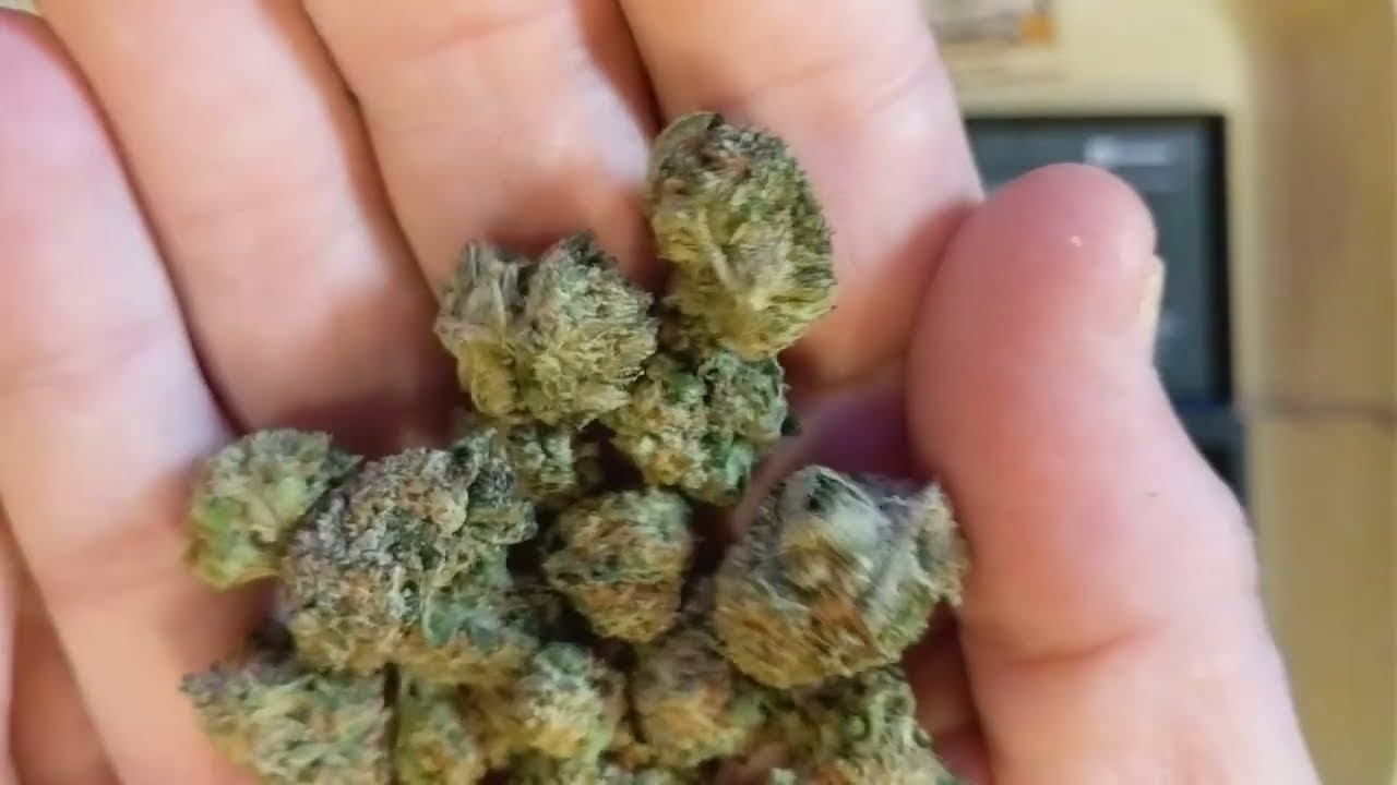 Alien Labs Baklava smalls 21% Eustis Trulieve