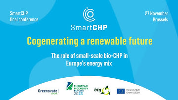 Cogenerating a renewable future: The role of small-scale bio-CHP in Europe’s energy mix