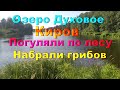 Озеро духовое Киров/ Погуляли по лесу/ Набрали грибов