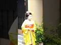 京都　上七軒　舞妓見習い・ふじ詩（ふじうた）さんの挨拶回り　半だら　Maiko apprentice at Kamishichiken, Kyoto