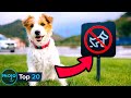 20 Illegal Things You've Done (at Least Once)