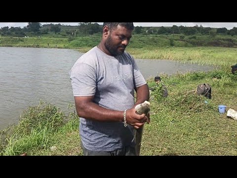 wild river fishing and cooking 