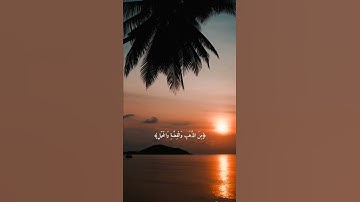تلاوة خاشعة للقاري الشيخ سعد الغامدي اجمل أيات من سورة آل عمران