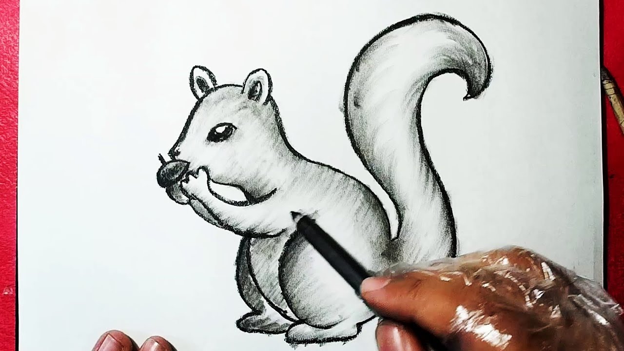 Easy Pencil Shading Drawing Animals Goimages Online