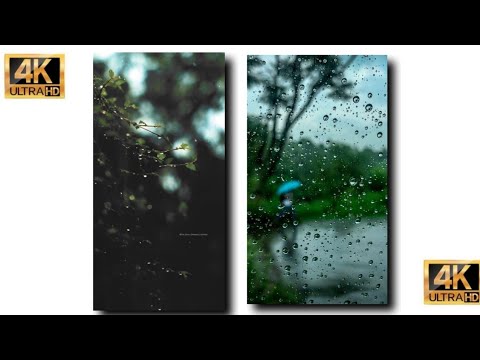 Baarish whatsapp status monsoon status Trending Rain whatsapp status  4k full screen  shorts