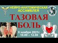 Нейроанатомическая Ассамблея: Тазовая боль: междисциплинарная проблема 2021