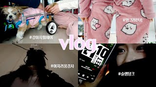 vlog.일상 브이로그 | 어지러움증 검사 | 강아지 휠체어 | 나혼자 슬램덩크