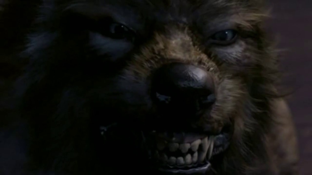 doctor who tooth and claw