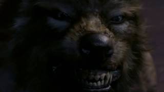 Doctor Who: Werewolf Scenes