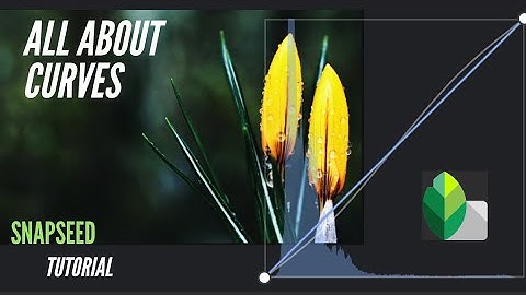 ALL  ABOUT  CURVES  IN  SNAPSEED   | SNAPSEED TUTORIAL | MOBILE