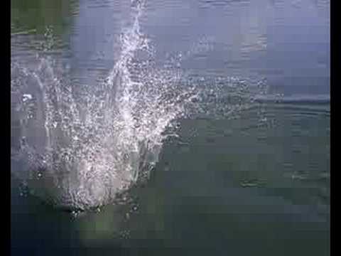 Brivio, domenica 10 agosto 2008. Giornata di sole e allegria al "Toffo" con bagni e nuotate nel fiume Adda.