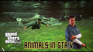 GTA 5 | Franklin explore animals | (GTA 5 Mods)