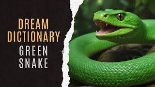 Green Snake Dream Analysis | Green Snake Dream Meaning | Dreaming About Green Snake