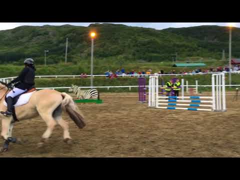 FJORDHEST: sprangstevne Tromsø (3) 18-20.17 - YouTube