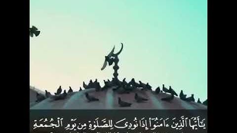 #الجمعة... تلاوة ندية بصوت القارئ رعد الكردي/حالات واتس اب