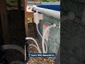 We Built This Above-Ground Pool in One Day #shorts