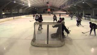 SAHL-D: Team Darryl vs Pelicans 12/18/14