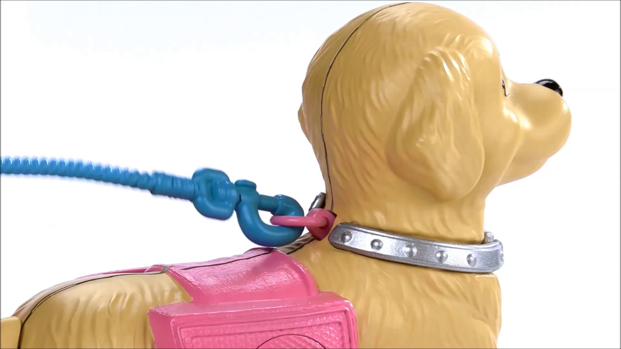 puppy on a lead toy