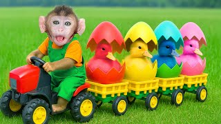 Download Lagu Mono CoCo encuentra un huevo de oro y, sorprendentemente, nacen pequeños patitos! | MONO COCO ESP MP3