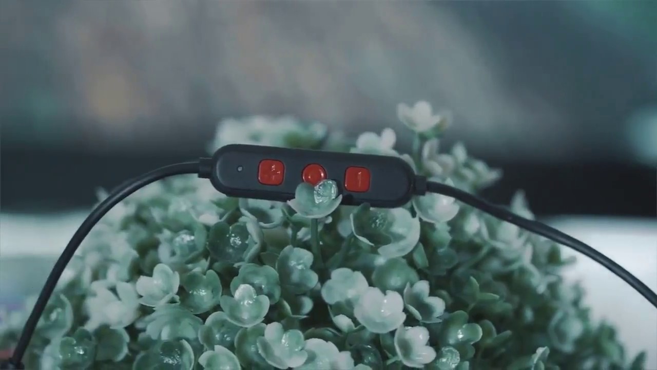 Tribit XFree Color Bluetooth Headphones under $25 | for Runnnig