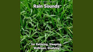 Rain Sounds Pt. 9