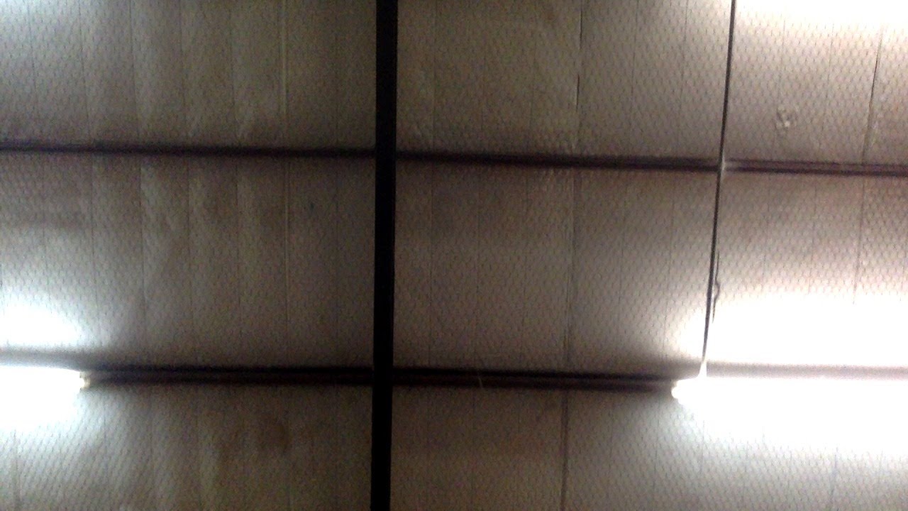 Elkhart Horse Auction Channel Introduction. Meet the Family and Rules