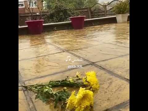 ياهالصبح الناطر ياداره دوري فينا فيروز صباحيات حالات واتس