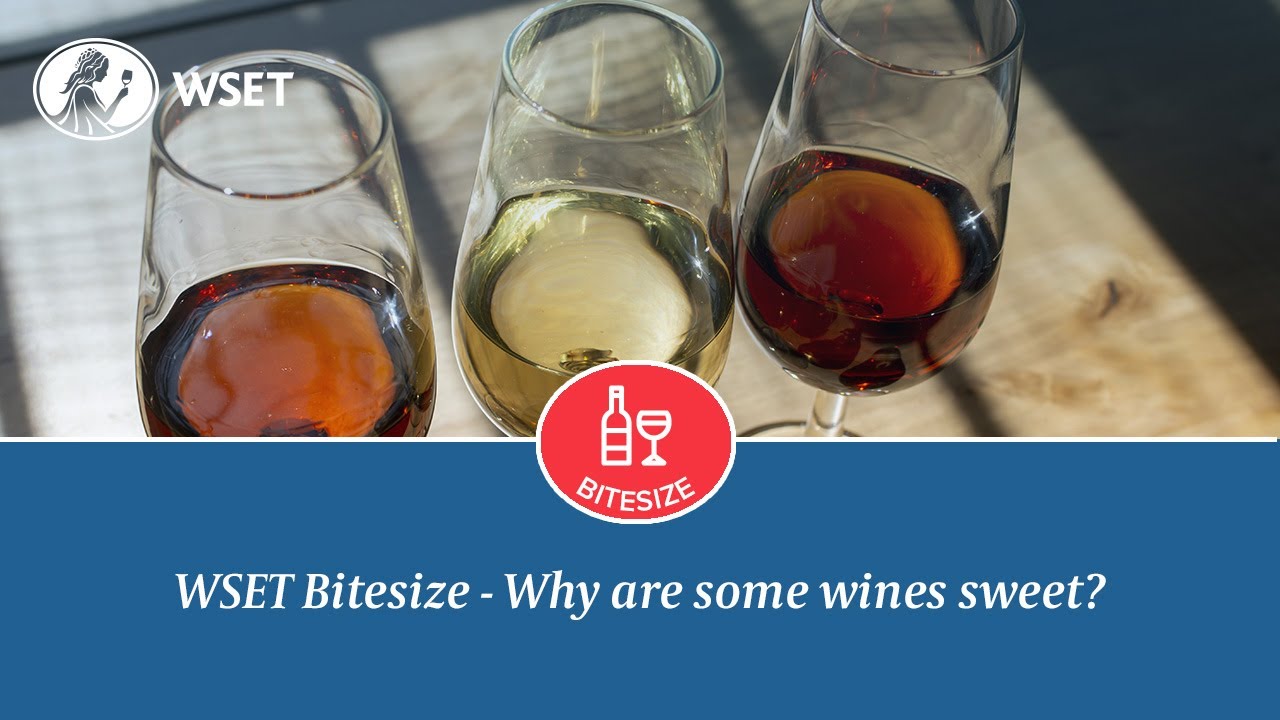 WSET Bitesize Why are some wines sweet? YouTube
