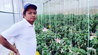 Dulu Engineer, Sekarang Petani