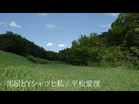 【歌ってみた】部屋とYシャツと私 / 平松愛理
