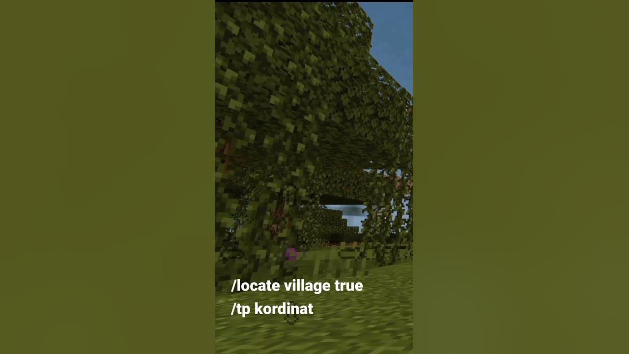 Cara Mencari Desa di Minecraft