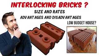 Interlocking Bricks For House Construction Low Budget House