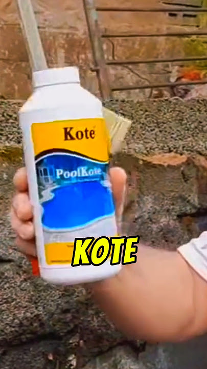 The FUNNIEST Brand!! 🤣 Will Make You Laugh