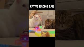 CAT vs RACING CAR #Cats #Racingcar #Kittisaurus