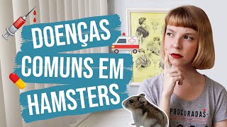 Doenças mais comuns em hamsters