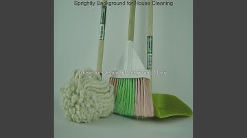 Vivacious Moods for House Cleaning