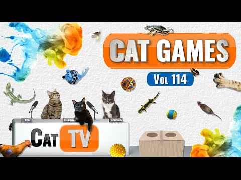 CAT Games |