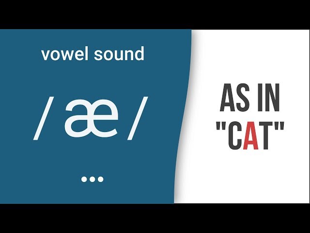 Vowel Sound / æ / as in "cat"- American English Pronunciation