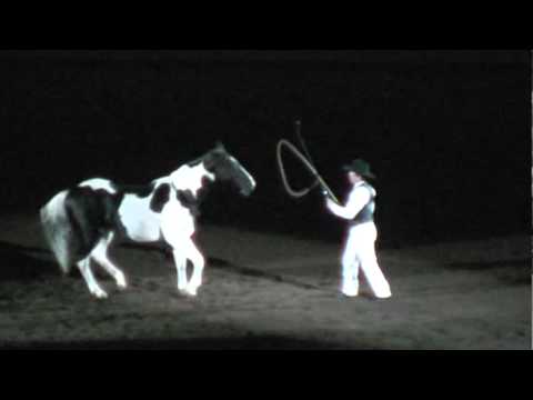 Night of the Horse 2011 - Tommie Turvey w/ Joker's...