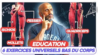 6 exercices universels bas du corps ( Programme Musculation )