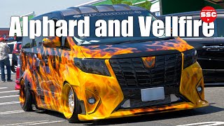 【Low car compilation】Toyota Alphard and Vellfire