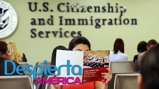 Cómo Prepararte Para Tu Examen De Ciudadanía Americana