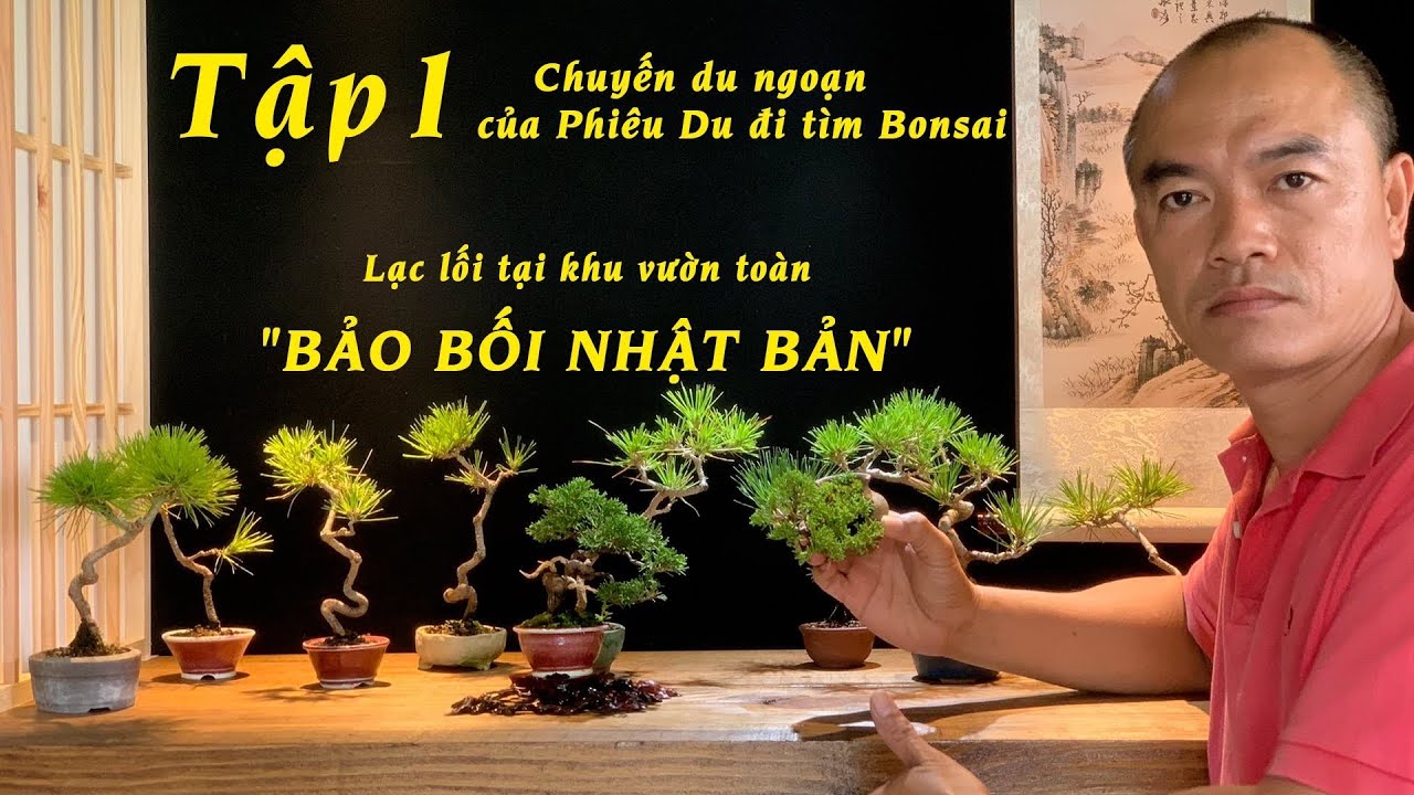 Chuyến du ngoạn của Phiêu Du đi tìm Bonsai - Tập 1: Lạc lối tại khu vườn toàn 